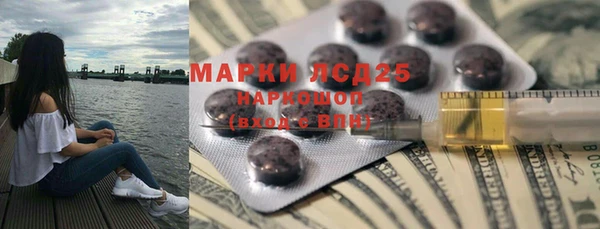 ECSTASY Пересвет