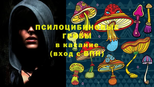 метадон Алексин