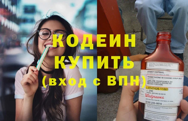гашик Пестово