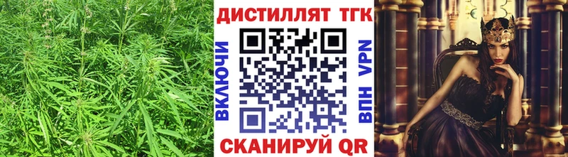 KRAKEN   наркошоп  Ахтубинск  ТГК гашишное масло 